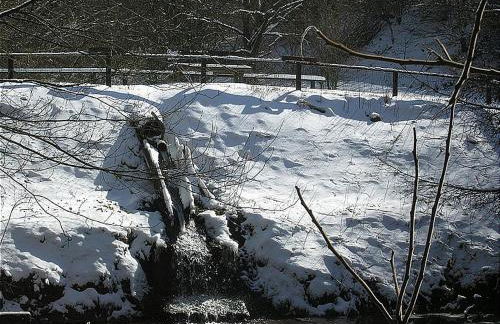 Haus 2 - Typ A (Appartement) - Foto 26