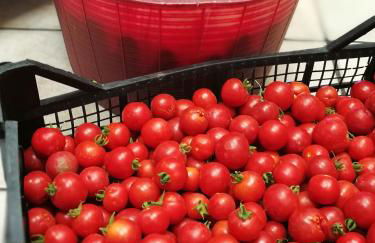 Agriturismo Guthiddai - Foto 29