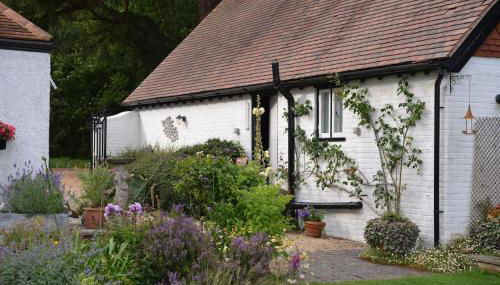 Highfield Lodge - Photo 2, Garden