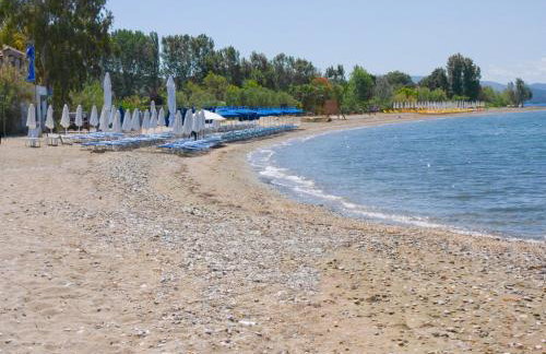 Vergonis Studios - Photo 12