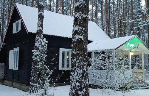 Wilga - urokliwy dom z bala (50 km od Warszawy) - Foto 26