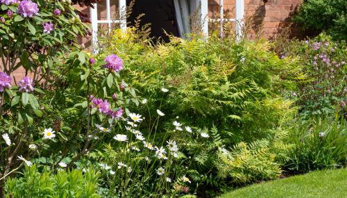 The Nest at Winnall Luxury 19th Century Cottage - Foto 5, Garden view