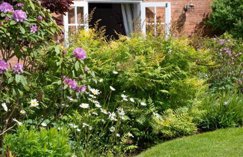 The Nest at Winnall Luxury 19th Century Cottage - Foto 5