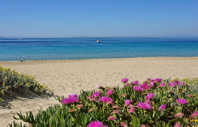 Arcos H1 in Begur With 2 Bedrooms and 1 Bathrooms - Photo 23