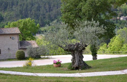 Valle Rosa - Photo 50