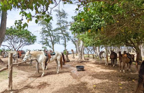 Tropical Getaway perfect for families - Foto 32