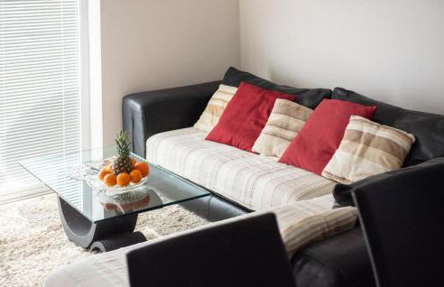 Three-Bedroom Apartment In Ostrvica - Photo 25