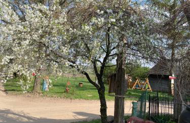 Ozierański Eden "Pod rzeźbami" - Photo 31