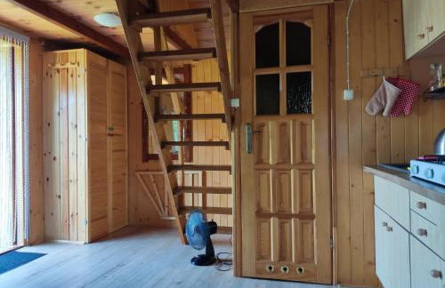 Domki w Bieszczadach - Foto 23