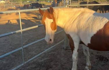 Peaceful & Cozy 3 bedroom Ranch-Home w/Fireplace - Foto 32