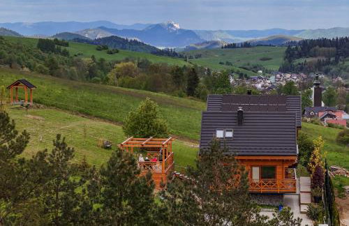 Houten Villa "ReisnaarPolen" Royaal ontbijt tevens Gluten Lactose vrij, Vega en diner mogelijk, sauna en Hottub - Foto 3