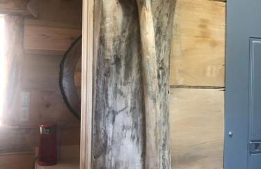 Harper Tree Top - Foto 15