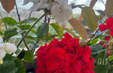 Luxury House Alessia - Foto 42