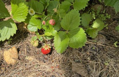 L'Épicerie de Bezenac - Foto 45