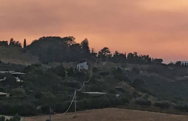 Dea Degli Ulivi House - Photo 70