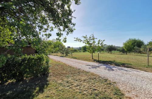 La Casina di Ely - Foto 24