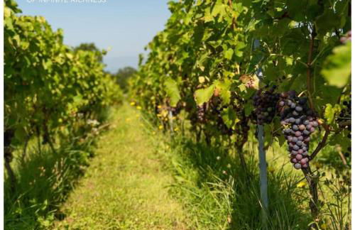 La Martichouette Chambres dans Maison vue sur Lac - Photo 34
