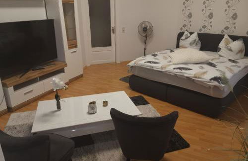 Pension Altenburg City - Foto 6