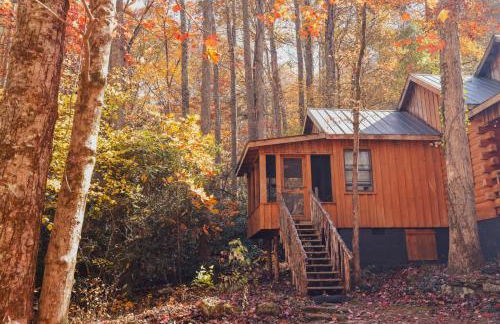 Multiple cabins at Cabin Fever - Foto 47