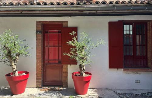 Petite chartreuse calme en plein coeur de Toulouse - Foto 9