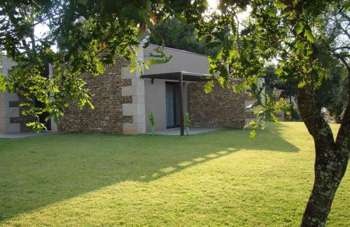 Bosque da Harmonia - Foto 79