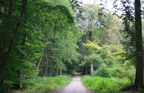 FeWo Käuzchen - Ulenhoef - Foto 10