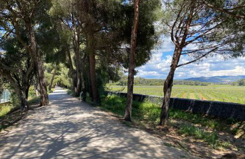 Rez de Jardin T3 recent et calme au Nouvelles Terres à La Londe les Maures - Foto 7