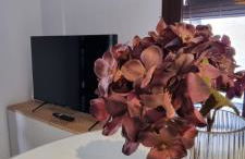 Viviendas con Fines Turísticos Pitico de Barro - Foto 30