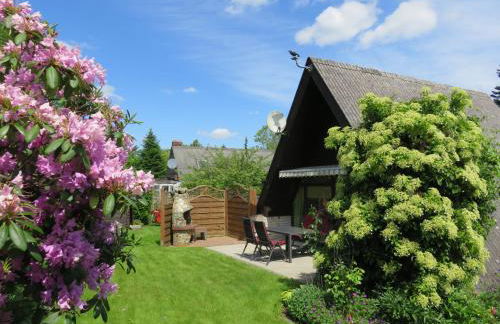 Frietied am Wittensee - Photo 1