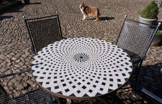 Spacious Apartment near Town Center in Mesch - Photo 47