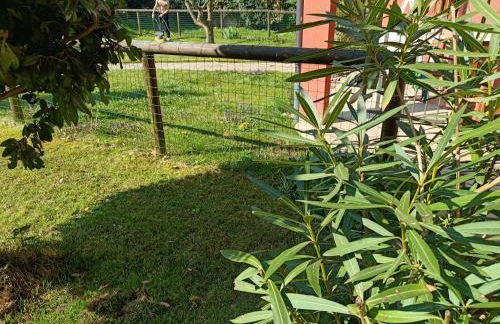 Idro Appartamenti - Crone - Foto 16