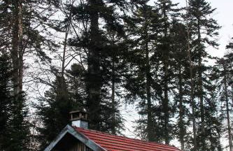 le refuge des Marmottes - Foto 25