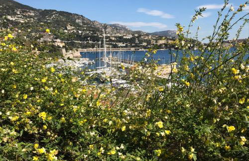 Nice/Villefranche - Foto 9