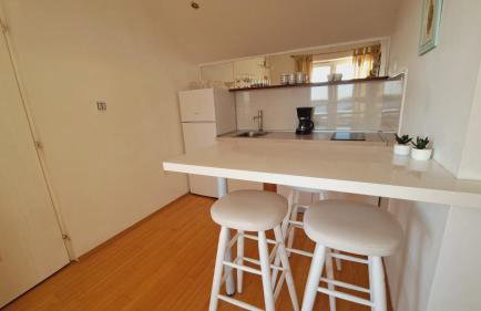 Apartments Ana Žaborić, 50 m od šljunčane plaže - Foto 11