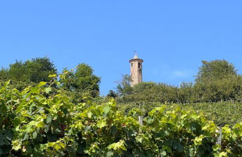 Casa della Torre - Villa with panoramic view - Foto 30