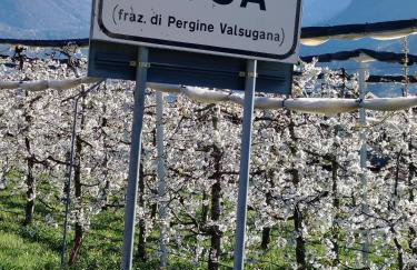 Svetlana e Cătălin - Foto 2