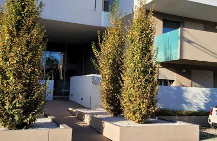 Le Rondini - Foto 23