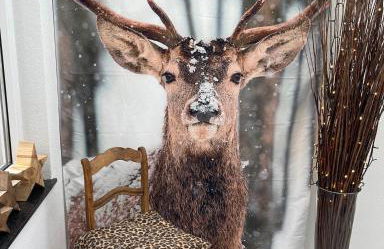 Caros Zimmer Gladbeck - Foto 19