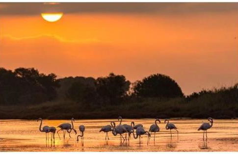 Plage à 400 m Studio tout confort Terrasse Clim Parking - Foto 31