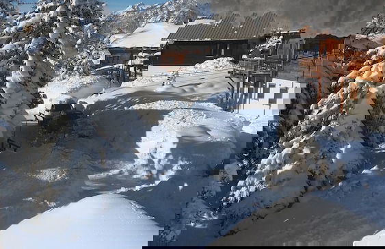 Chalet Plein Sud - Foto 55