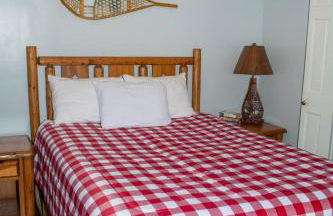 Winterplace Ski In Ski Out First Floor D104 - Foto 8