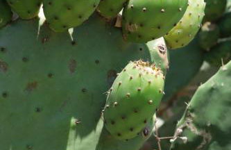 Osy Casa Vacanze - Foto 50