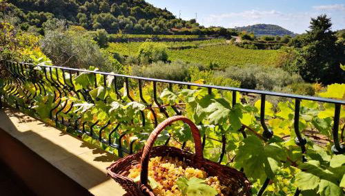 La Tinaia Country House - Foto 2, Garden view