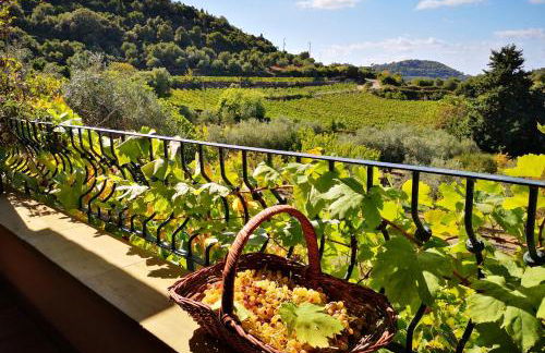 La Tinaia Country House - Foto 2