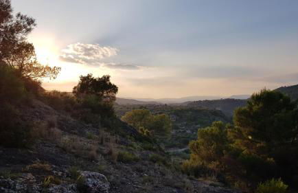 Ca'n Josep - Foto 25