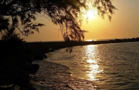 Alexandra Homestay - Foto 17