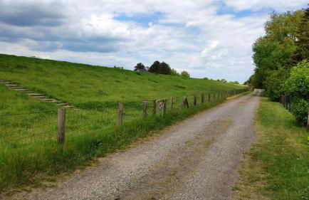 Ferienhaus Strandblume - Foto 15