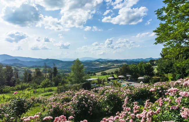 Cozy Couple's Retreat - Foto 38