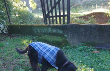 Casa do Artista - Foto 25