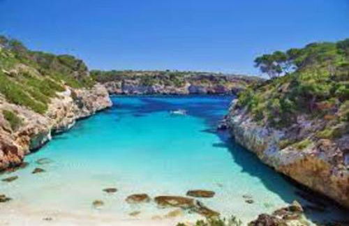 Charming Oasis in San Jose, 1069 - Photo 49